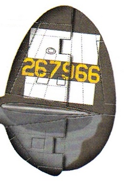 Tail Code 55th FG